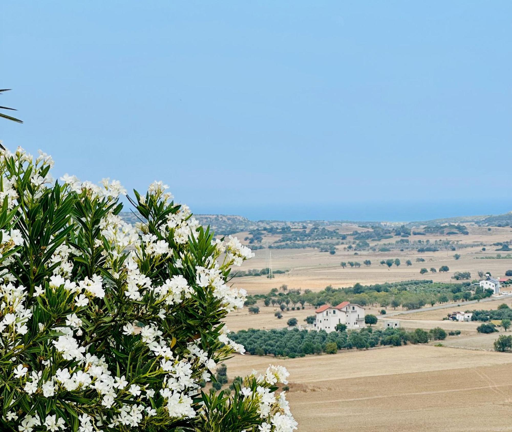 Celebi Garden Hotel - Cittaslow Retreat Αμμόχωστος Εξωτερικό φωτογραφία